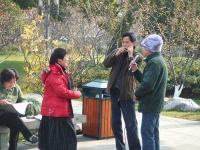 image of harmonica
