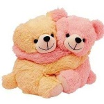image of teddy_bear