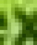 image of char