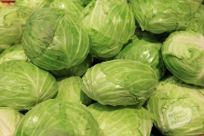 image of cabbage #17