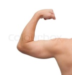 image of human_body_parts
