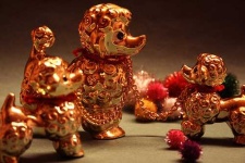image of toy_poodle