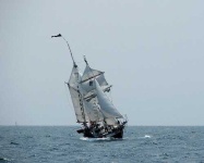 image of pirate_ship #197