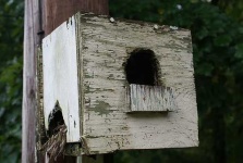 image of birdhouse