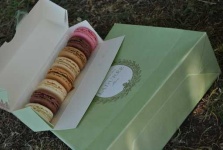 image of food