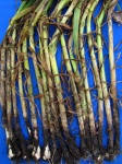 image of fruit_and_vegetable