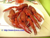 image of crayfish
