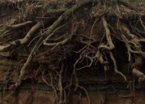image of texture