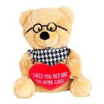 image of teddy_bear