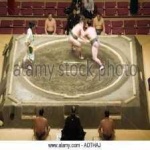 image of sumo_wrestling #32