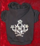 image of sweatshirt