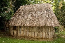 image of thatch