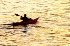 image of paddle