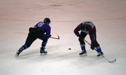 image of puck