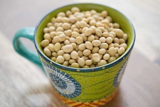 image of beans #34