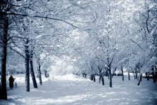 image of snowy