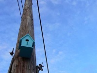 image of birdhouse