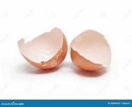 image of egg_shell #30