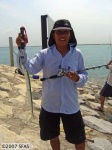 image of gar