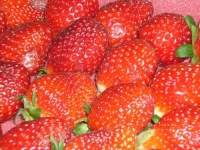 image of strawberry #13