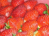 image of strawberry