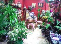 image of indoor