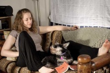 image of miniature_schnauzer