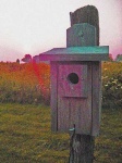 image of birdhouse
