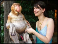 image of proboscis_monkey