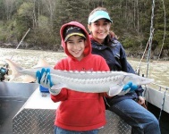 image of sturgeon