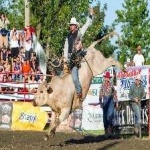 image of bull_riding #32