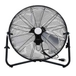 image of fan #8