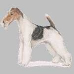 image of wire_haired_fox_terrier