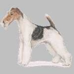 image of wire_haired_fox_terrier #27