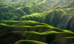 image of grassland