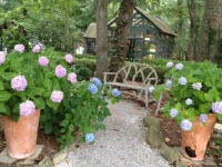 image of garden