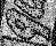 image of char