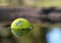image of golf_ball