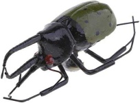 image of beetle #27
