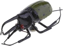 image of animal