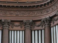 image of organ #14