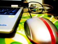 image of mouse