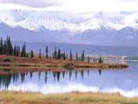 image of tundra