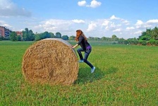 image of hay