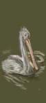 image of animal