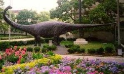 image of brontosaurus