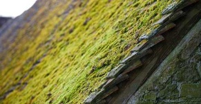 image of tile_roof