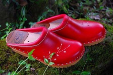 image of clog