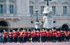 image of bearskin