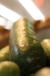 image of cucumber